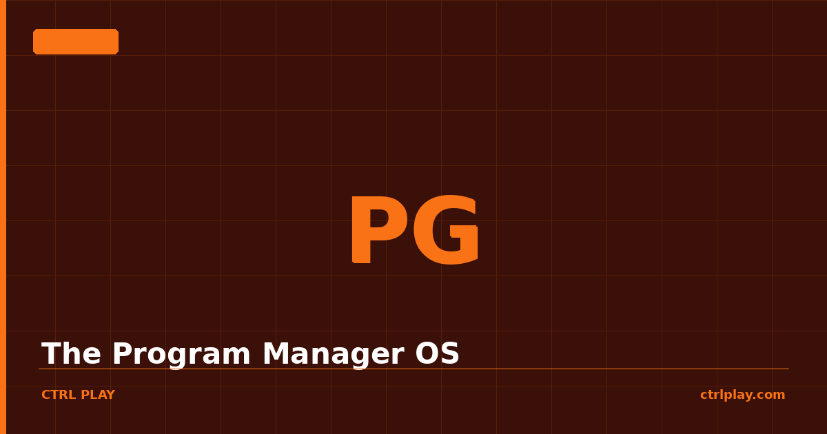 The Program Manager